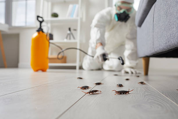 Commercial Kitchen Cockroach Control in Galax
